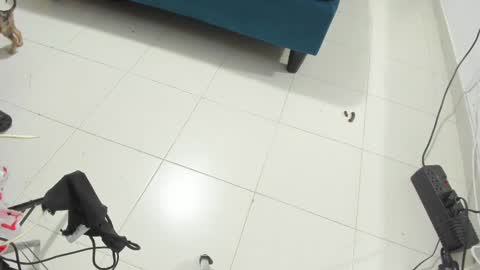 Rihanna hotx online show from 12, 11, 2025