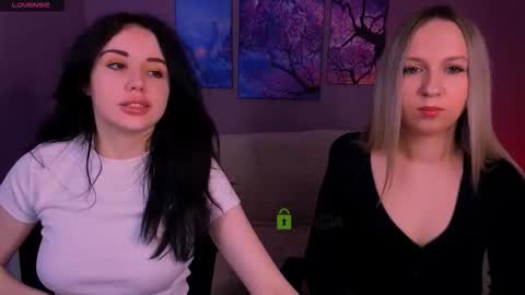 Meow online show from 1, 3, 2026