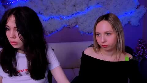 Meow online show from 24, 3, 2026