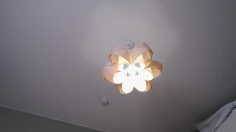 Rina online show from 24, 12, 2024