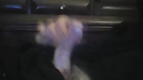 Snapshot of rlpl chatting on 23, 2, 2026 rlpl online show from 23, 2, 2026