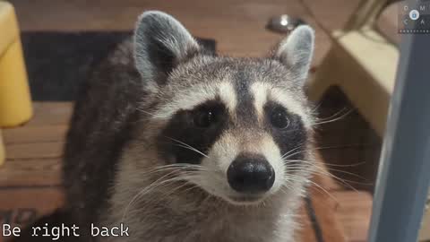 Ryan aka KeylimeRy online show from 5, 2, 2025