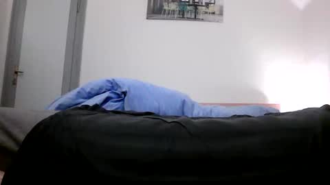 Snapshot of robbholsten33 chatting on 13, 11, 2025 robbholsten33 online show from 13, 11, 2025