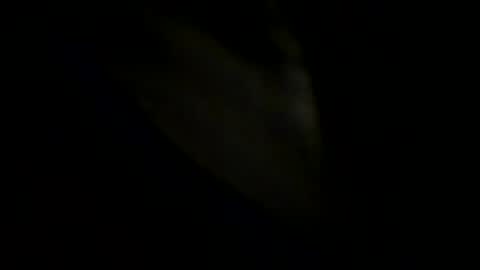 Snapshot of robertsmethurst chatting on 31, 5, 2026 Johnny online show from 31, 5, 2026