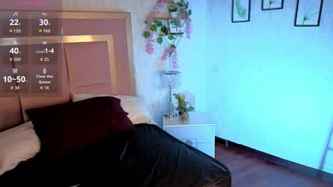 robin D online show from 15, 11, 2025