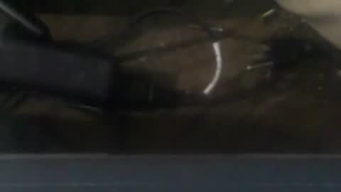 R online show from 20, 12, 2024