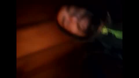 R online show from 28, 1, 2025