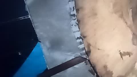 R online show from 7, 10, 2025