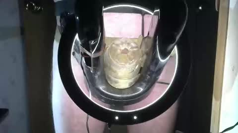 Robodickmilker online show from 16, 9, 2025