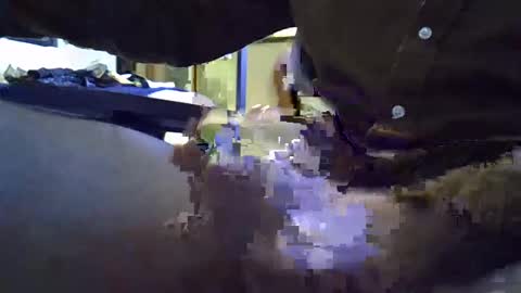 Snapshot of rocco981980 chatting on 8, 1, 2025 rocco981980 online show from 8, 1, 2025