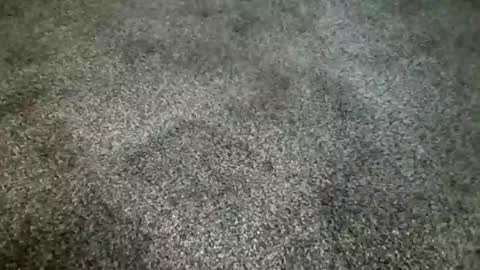 rokard121 online show from 4, 3, 2025