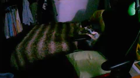 Snapshot of roketero93 chatting on 16, 12, 2025 roktero 90 online show from 16, 12, 2025