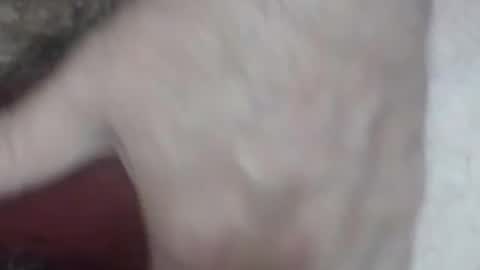 Snapshot of rokk_dude chatting on 26, 10, 2025 rokk_dude online show from 26, 10, 2025