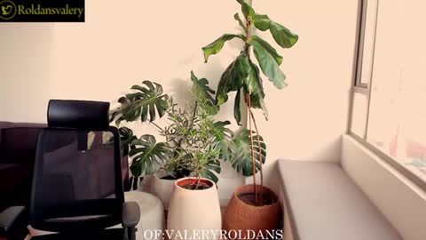 Snapshot of roldansvalery chatting on 13, 12, 2024 Valery Roldans online show from 13, 12, 2024