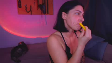 rollamoonshine online show from 27, 6, 2026