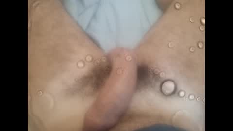 rollino83 online show from 11, 10, 2025