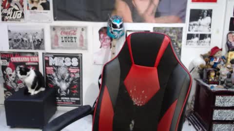 Rolly online show from 2, 12, 2025