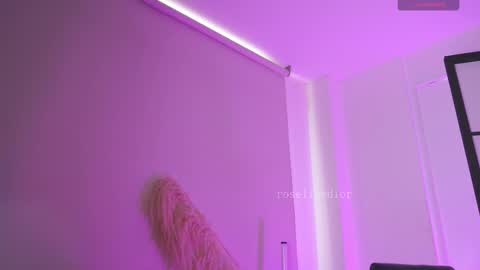 Snapshot of roselinedior chatting on 19, 2, 2026 Lyla OF roselinedior online show from 19, 2, 2026