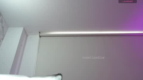 Snapshot of roselinedior chatting on 28, 2, 2026 Lyla OF roselinedior online show from 28, 2, 2026