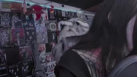 Snapshot of rotten_dreams chatting on 1, 3, 2026 rot online show from 1, 3, 2026