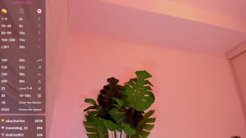 DREAM online show from 4, 1, 2025