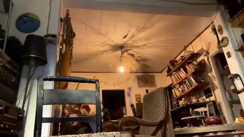 rp131313 online show from 4, 11, 2025