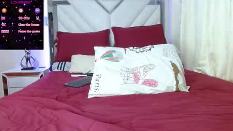 Snapshot of rubymyers chatting on 15, 1, 2026 Ruby online show from 15, 1, 2026