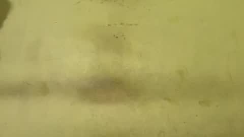 Rupali online show from 5, 2, 2026