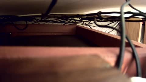 Snapshot of russelnash1900 chatting on 2, 12, 2024 Russel Nash online show from 2, 12, 2024