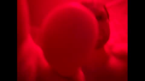 Snapshot of russianbear1917 chatting on 15, 10, 2025 Mike online show from 15, 10, 2025