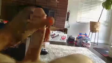 ryanbobby88 online show from 25, 9, 2025