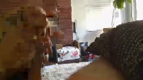 ryanbobby88 online show from 28, 9, 2025