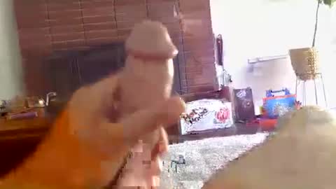 ryanbobby88 online show from 16, 10, 2025