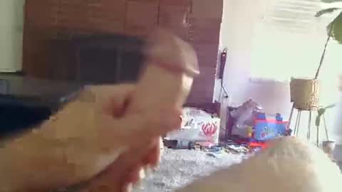 ryanbobby88 online show from 31, 10, 2025