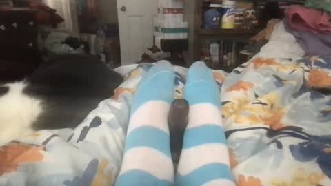 Goku online show from 16, 1, 2025