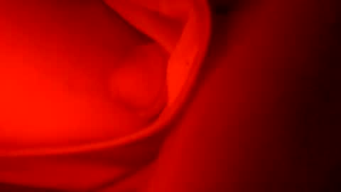 ryucravenmore online show from 5, 10, 2025