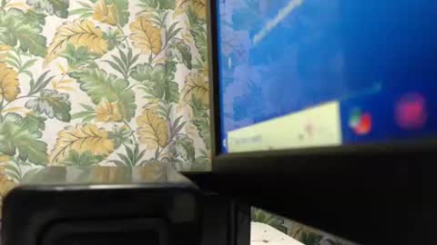 s_o_f_e_a online show from 12, 1, 2026