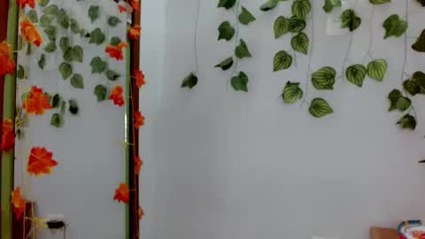 SABRI online show from 3, 2, 2026