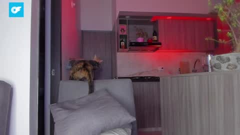 Sag online show from 21, 1, 2025