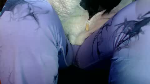 Karina online show from 31, 3, 2026