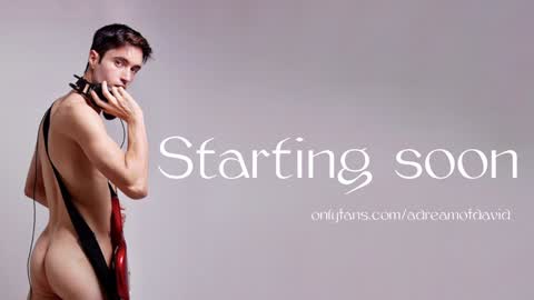 Snapshot of sahueso chatting on 30, 1, 2025 David Sahueso online show from 30, 1, 2025