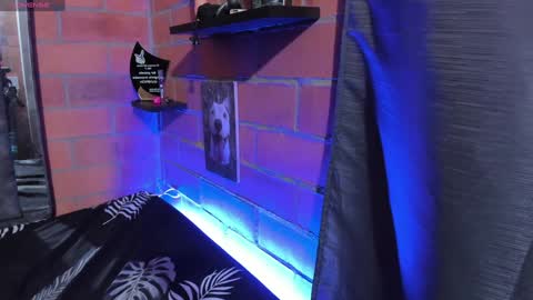 sainix_ online show from 18, 12, 2024