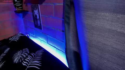 sainix_ online show from 2, 1, 2025