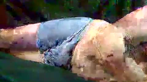 Snapshot of sam5554401727 chatting on 10, 11, 2025 sam5554401727 online show from 10, 11, 2025