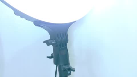   online show from 17, 11, 2025