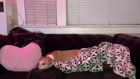 samanthafever online show from 7, 4, 2026