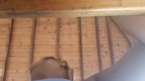 Snapshot of samanthamilan chatting on 8, 3, 2025 Alejandra online show from 8, 3, 2025