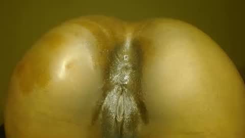 manth online show from 14, 11, 2025