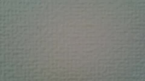 ssk online show from 5, 4, 2026