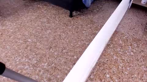 sara_salgado online show from 22, 2, 2026